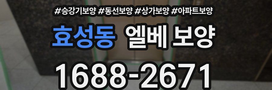 효성동 엘베 보양