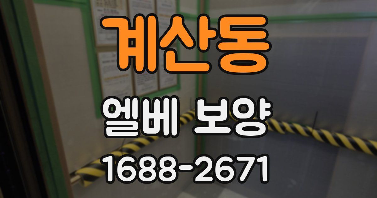 계산동 엘베 보양