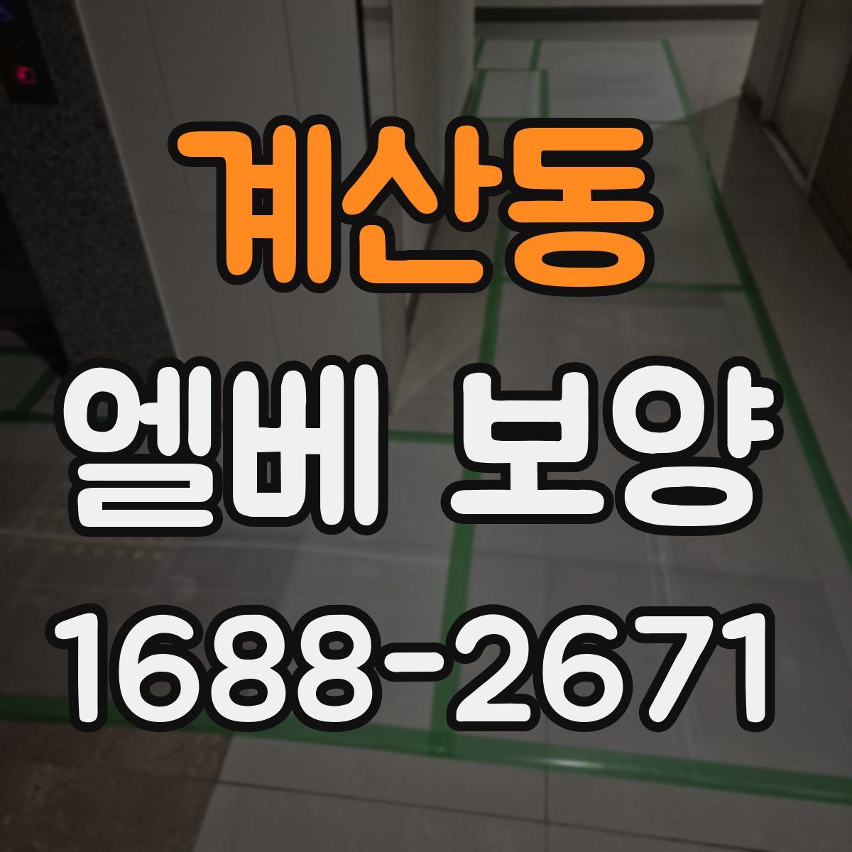 계산동 엘베 보양