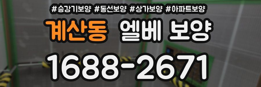 계산동 엘베 보양