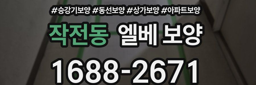 작전동 엘베 보양