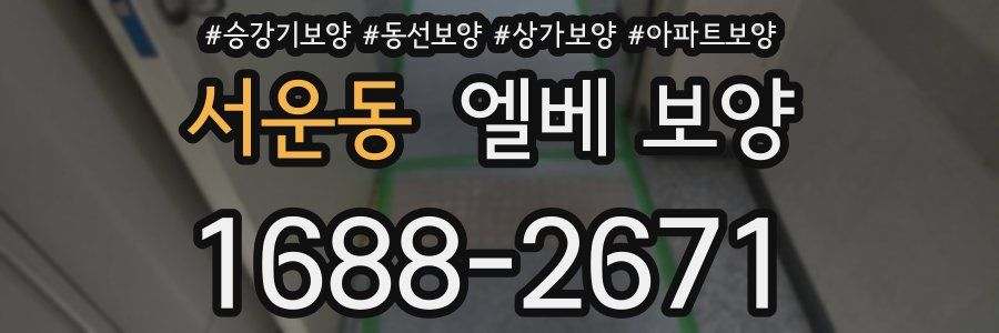 서운동 엘베 보양