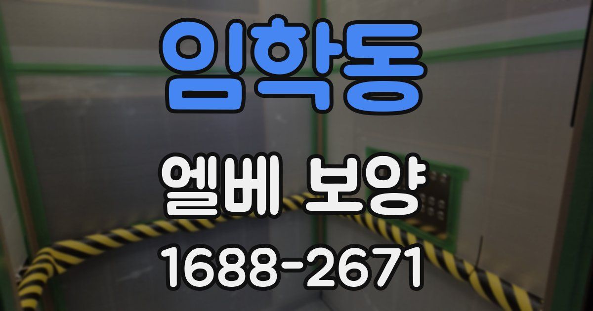 임학동 엘베 보양