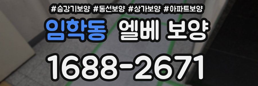 임학동 엘베 보양