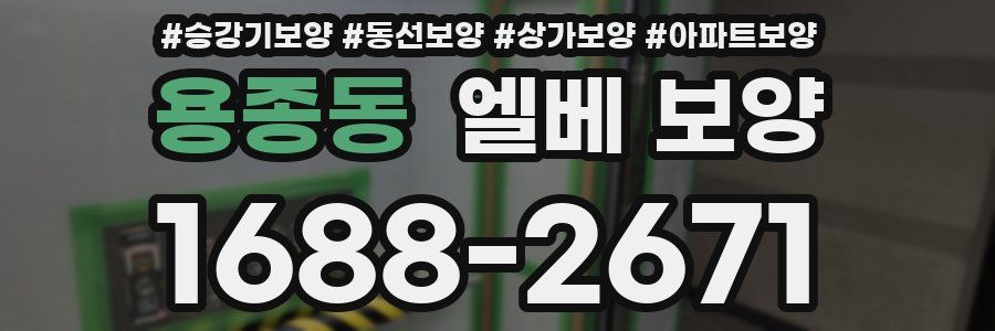 용종동 엘베 보양