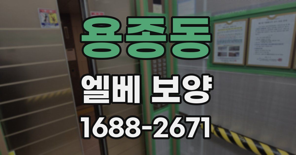 용종동 엘베 보양