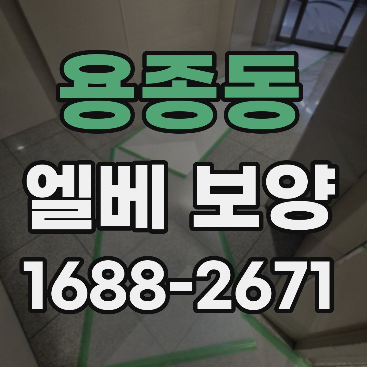 용종동 엘베 보양