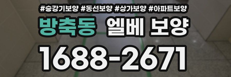 방축동 엘베 보양