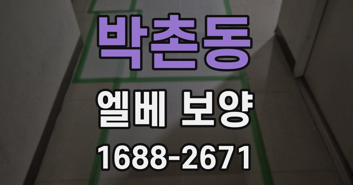박촌동 엘베 보양