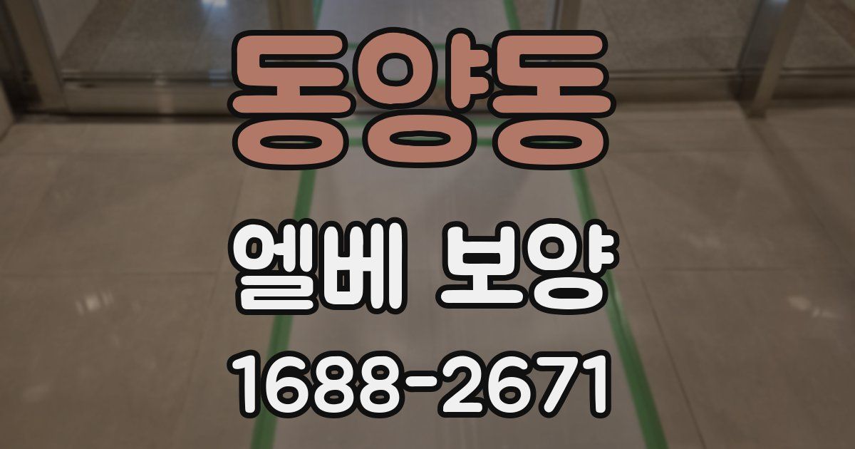 동양동 엘베 보양