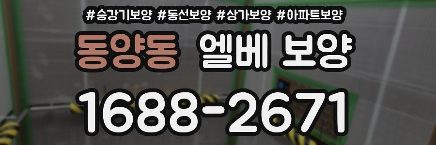 동양동 엘베 보양