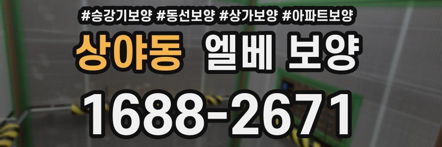 상야동 엘베 보양