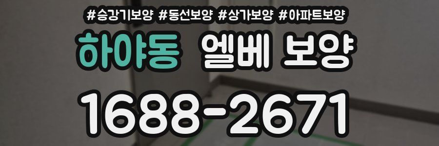 하야동 엘베 보양