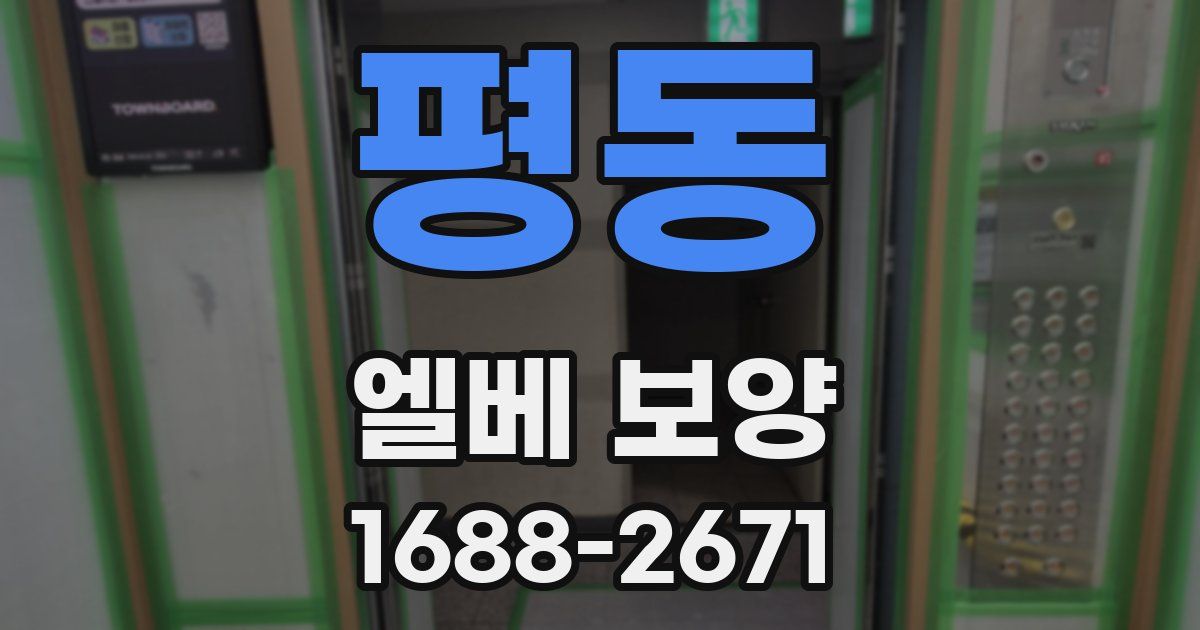 평동 엘베 보양