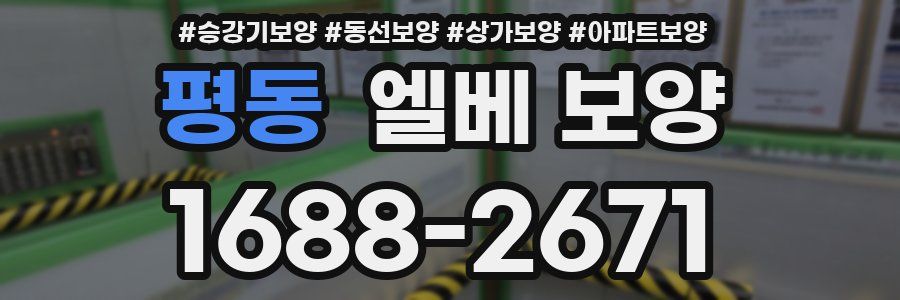 평동 엘베 보양