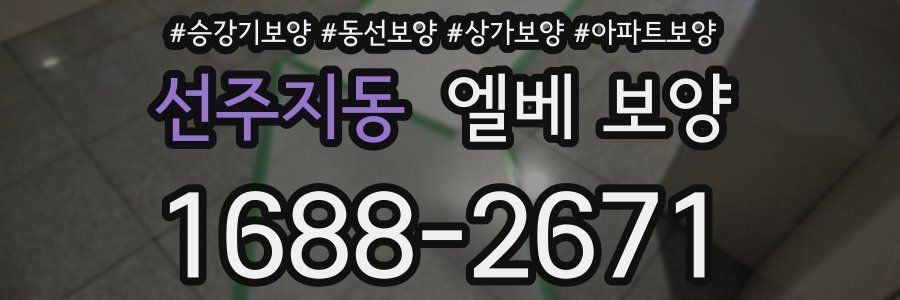 선주지동 엘베 보양