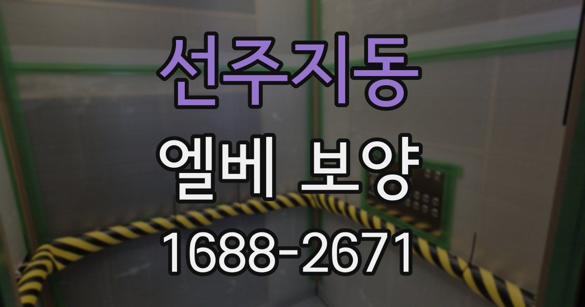 선주지동 엘베 보양