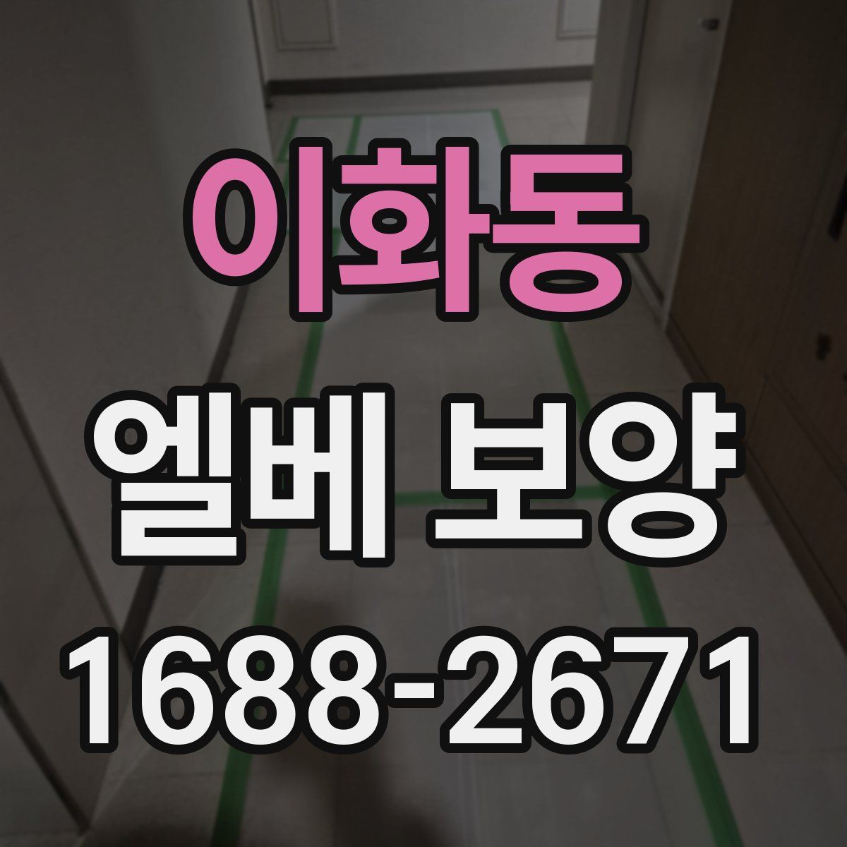 이화동 엘베 보양