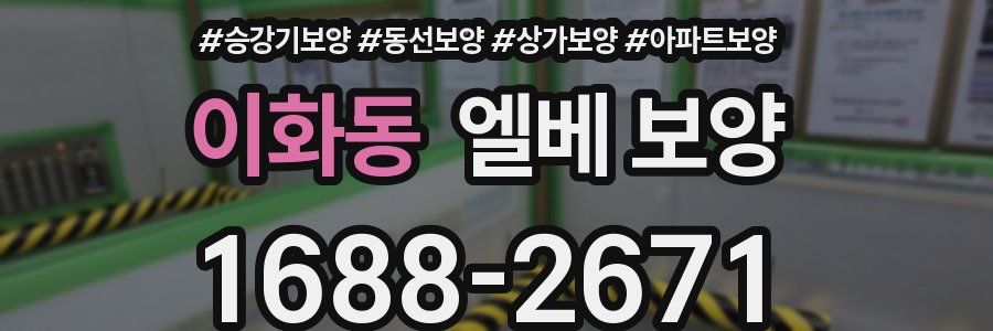이화동 엘베 보양