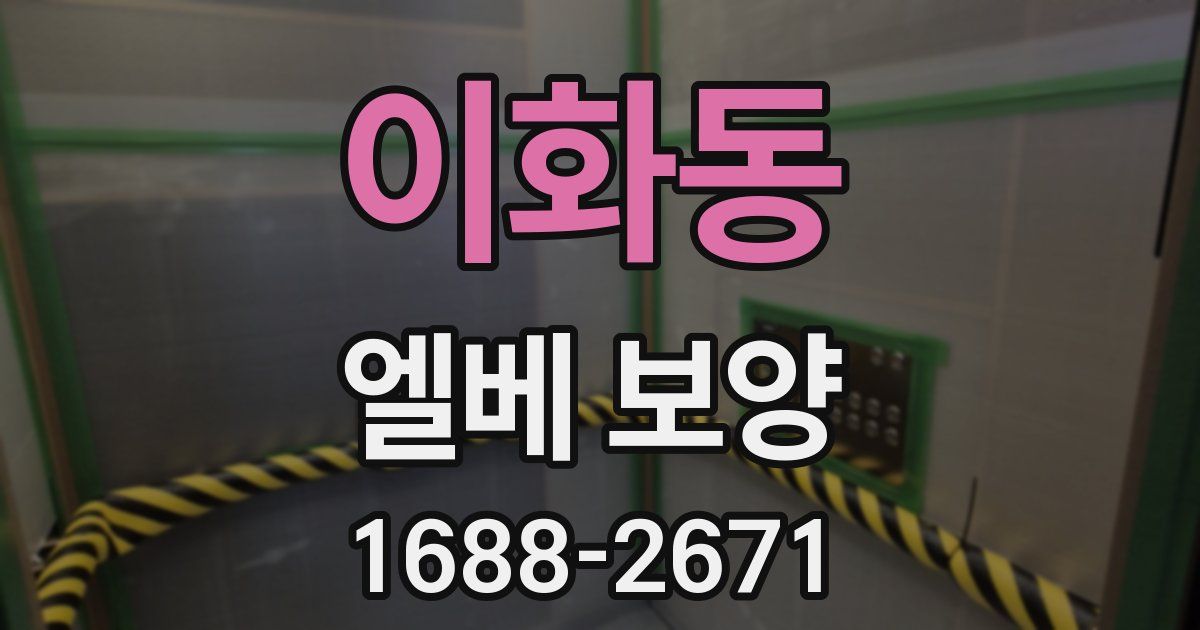 이화동 엘베 보양