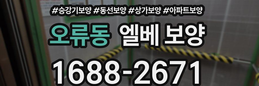 오류동 엘베 보양