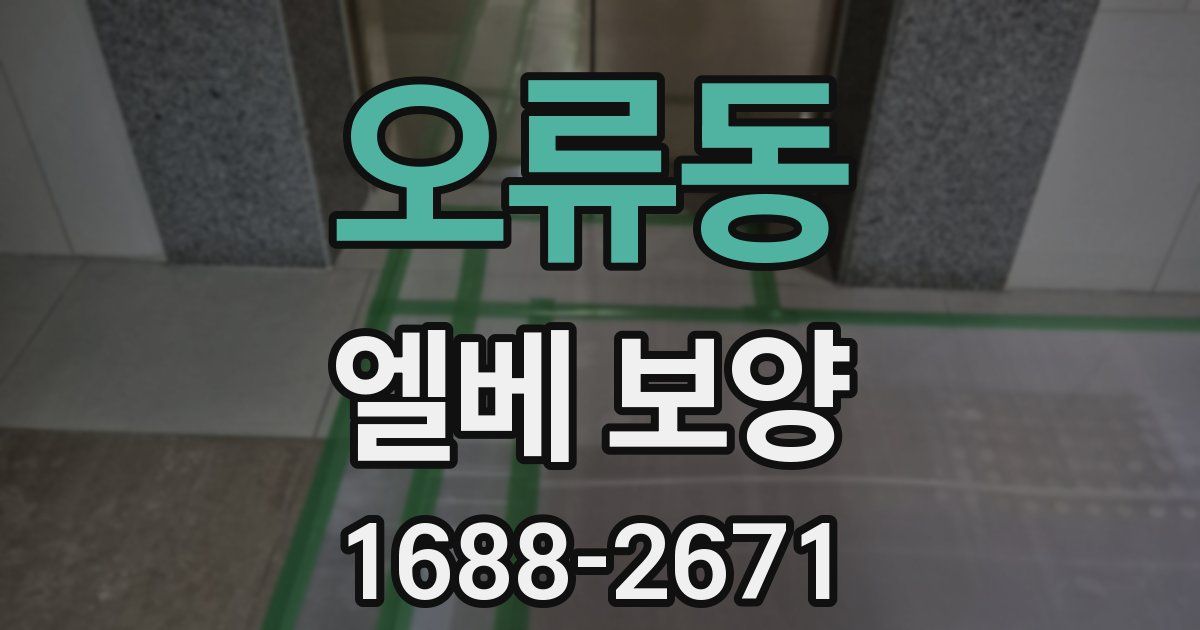 오류동 엘베 보양