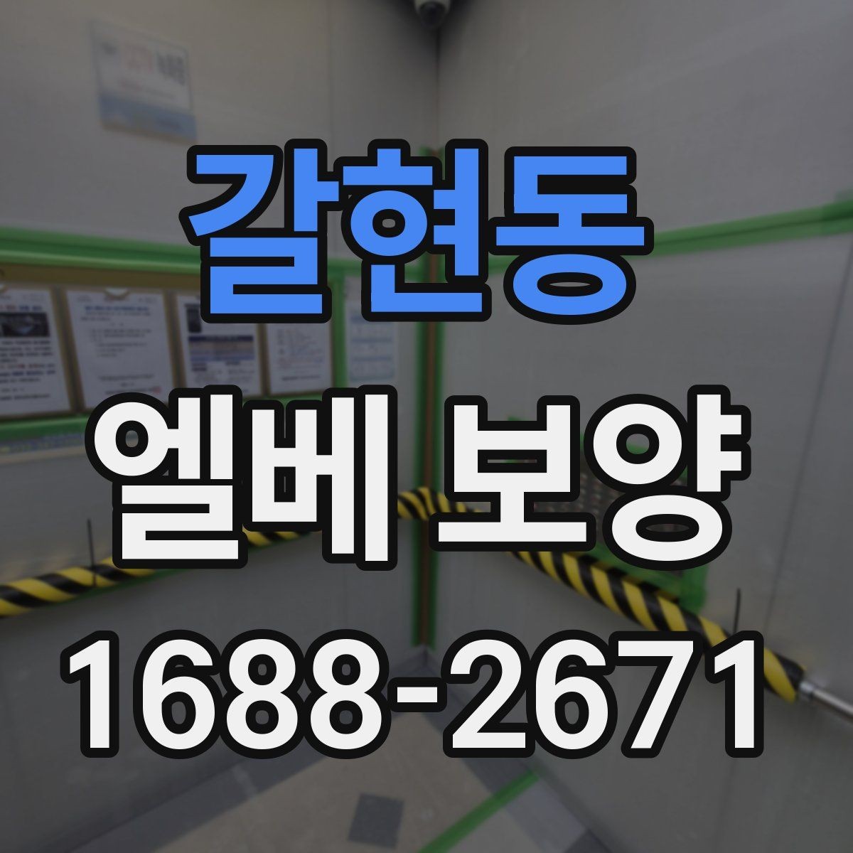 갈현동 엘베 보양 바닥 벽면 거울 자재를 나눠 쓰는 이유