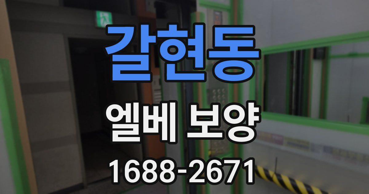 갈현동 엘베 보양