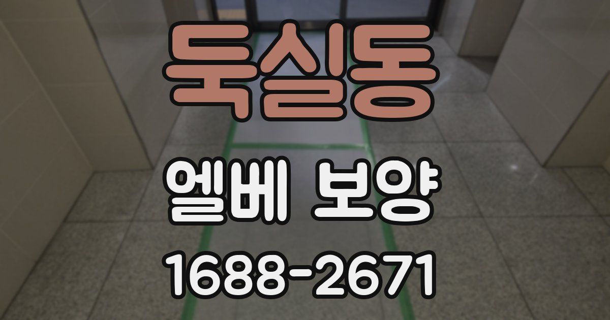 둑실동 엘베 보양