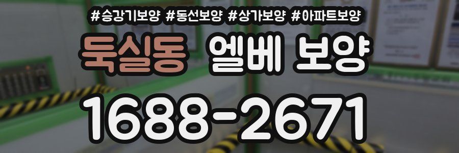 둑실동 엘베 보양
