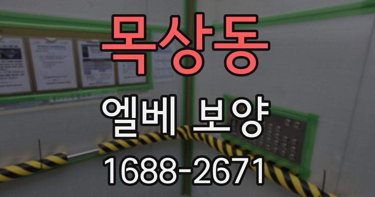 목상동 엘베 보양