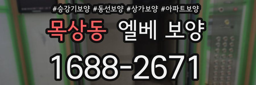 목상동 엘베 보양