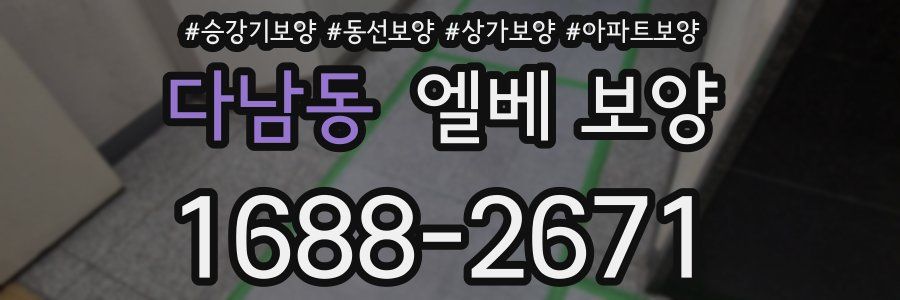 다남동 엘베 보양