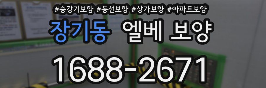 장기동 엘베 보양