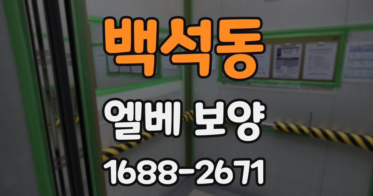 백석동 엘베 보양