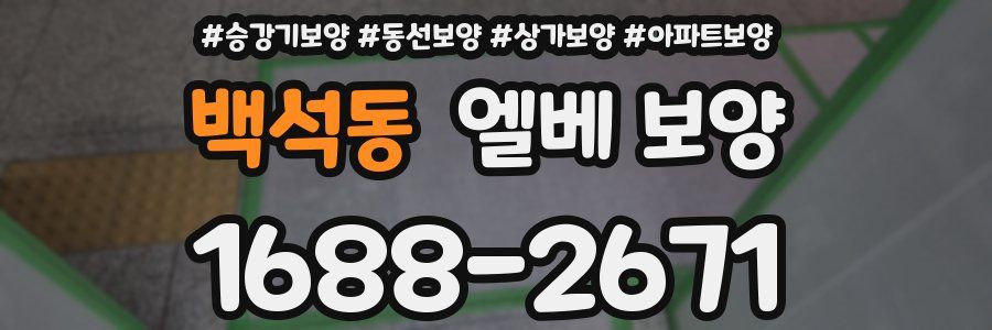 백석동 엘베 보양