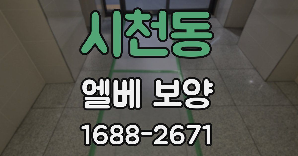 시천동 엘베 보양