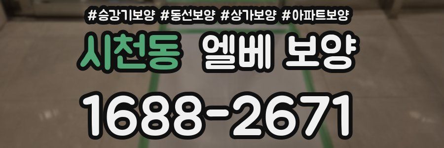 시천동 엘베 보양