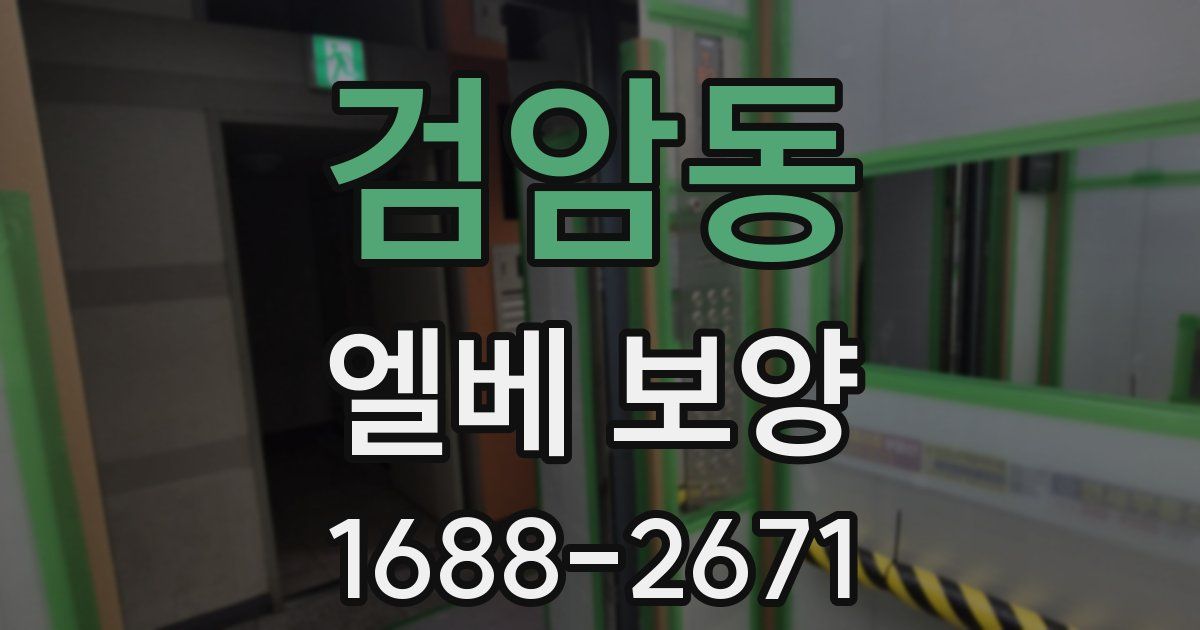 검암동 엘베 보양