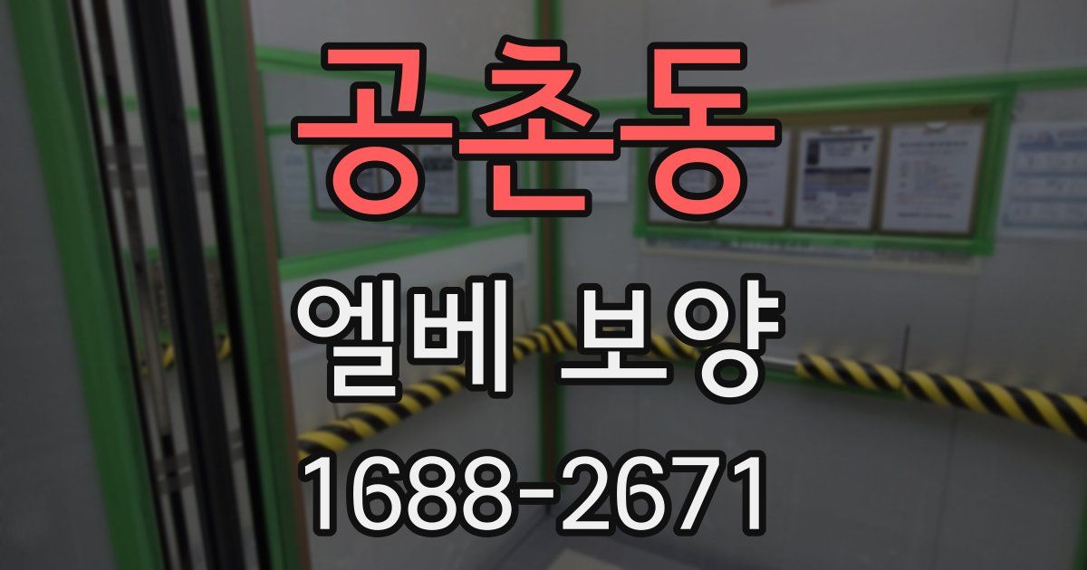 공촌동 엘베 보양