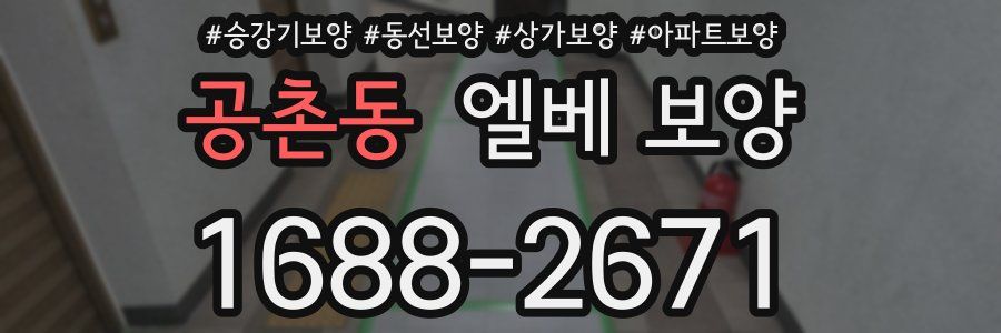 공촌동 엘베 보양