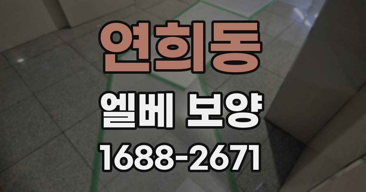 연희동 엘베 보양