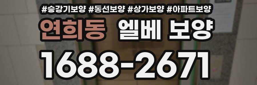 연희동 엘베 보양