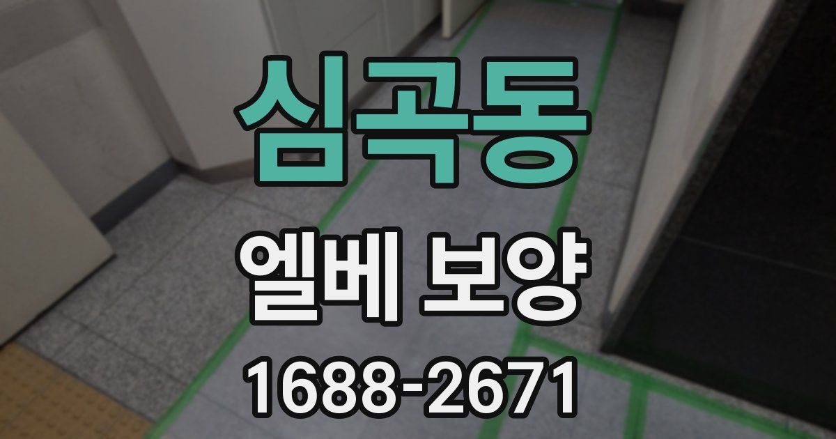 심곡동 엘베 보양