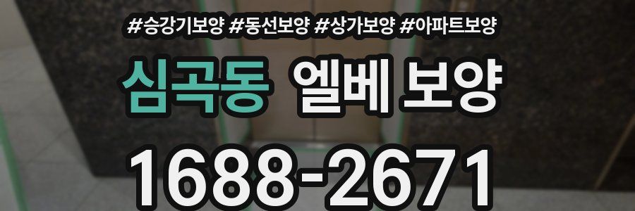 심곡동 엘베 보양