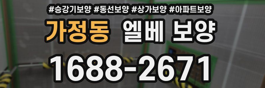 가정동 엘베 보양