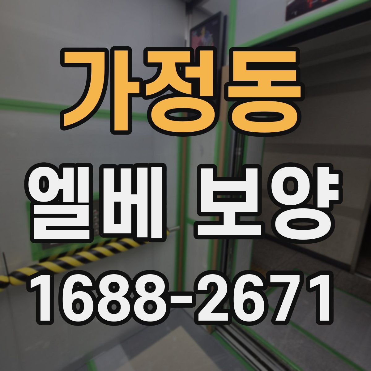 가정동 엘베 보양