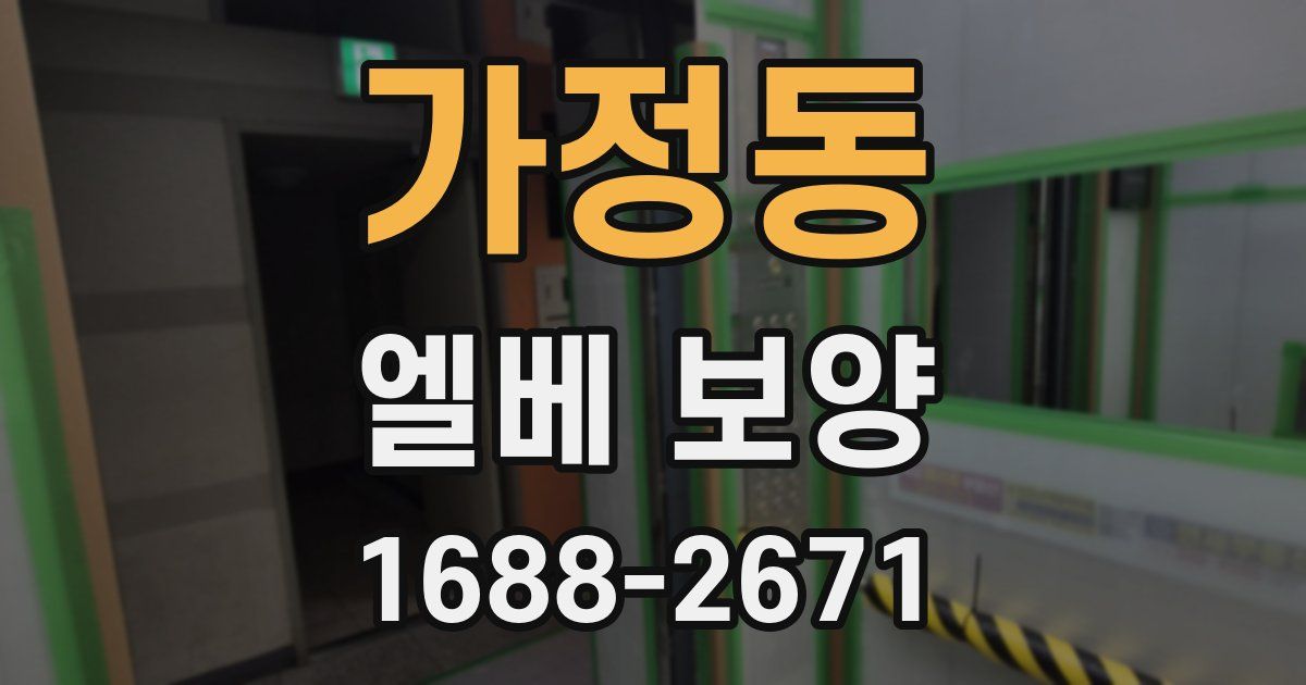 가정동 엘베 보양