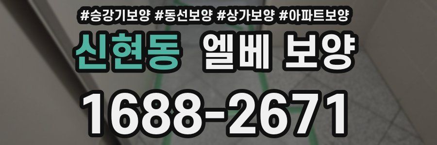 신현동 엘베 보양