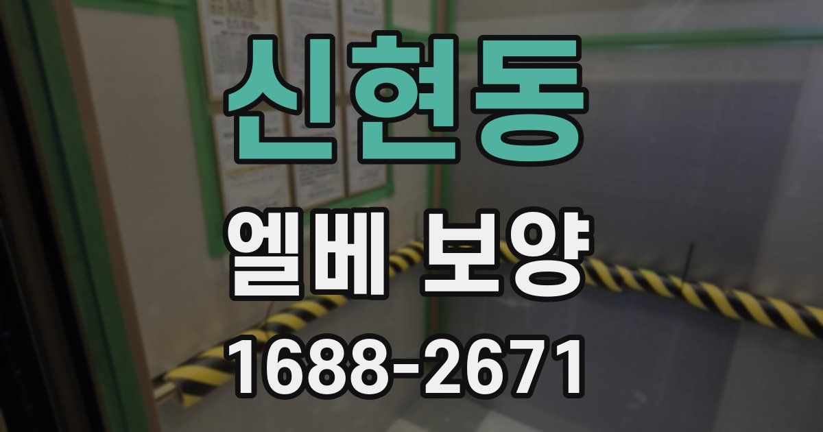 신현동 엘베 보양